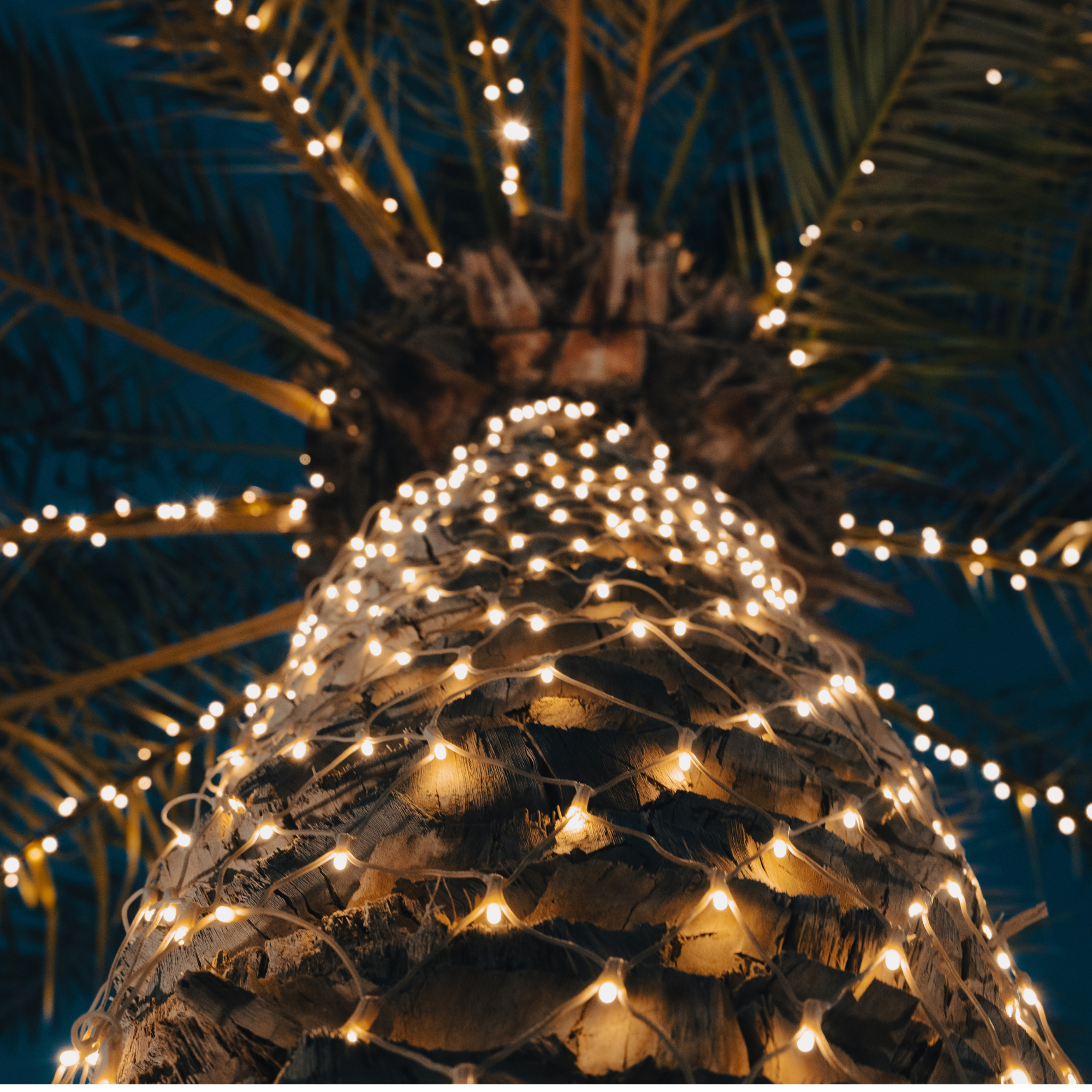 Filet lumineux scintillant H3 X L2m - 230V